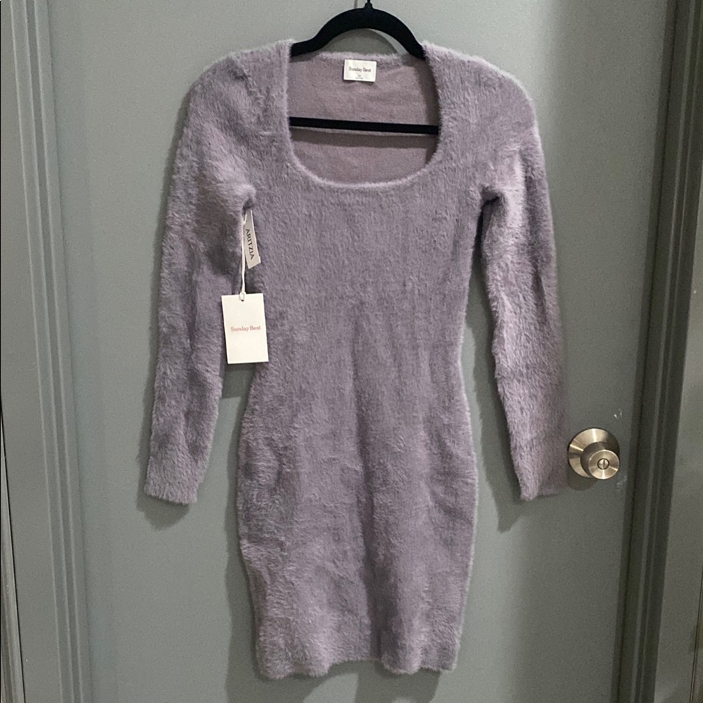 Aritzia Sunday Best Montgomery Dress